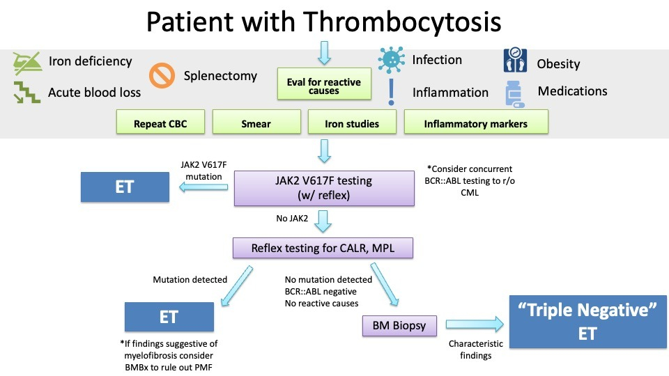 gallery/thrombocytosis_dx
